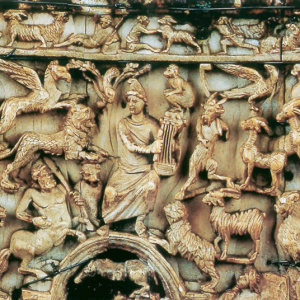 Museo_TecaEburnea_sviluppoEN